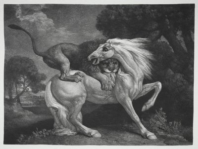 A Horse Attacked by a Lion by George Stubbs
