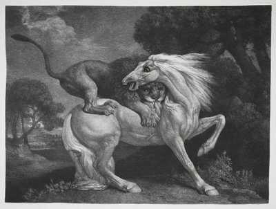 A Horse Attacked by a Lion, 1788 by George Stubbs