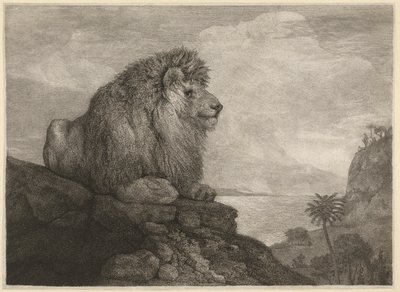 A Lion (A Lion Resting on a Rock), Engraved by the Artist by George Stubbs