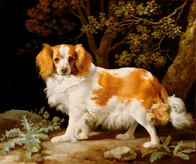 A Liver and White King Charles Spaniel in a Wooded Landscape by George Stubbs