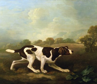A Pointer by George Stubbs