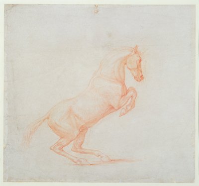 A Prancing Horse, Facing Right by George Stubbs