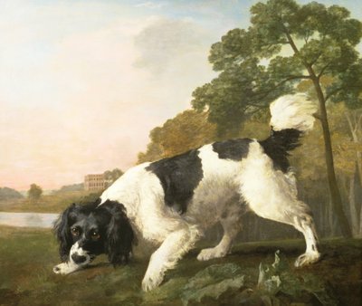 A Spaniel in a Landscape by George Stubbs