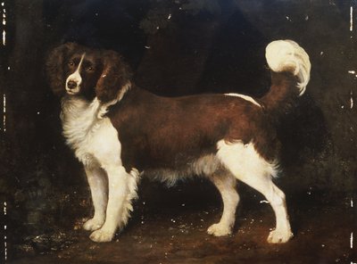 A Spaniel in a Landscape by George Stubbs