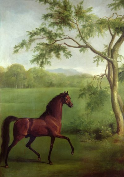 An Arabian Stallion beneath a Tree by George Stubbs
