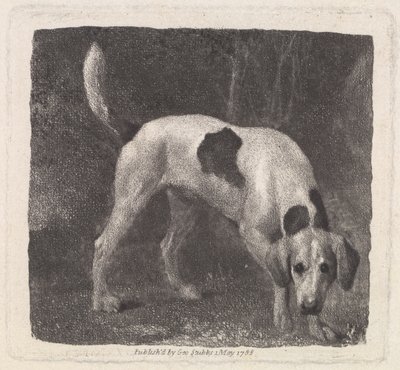 Dog (A Foxhound on the Scent), Engraved by the Artist, pub. 1788 by George Stubbs