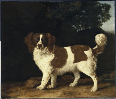 Fanny, the Favourite Spaniel of Mrs. Musters, Standing in a Wooded Landscape by George Stubbs