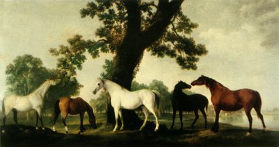 Five Brood Mares at the Duke of Cumberland