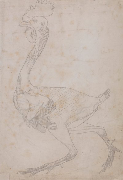 Fowl Body, Lateral View by George Stubbs