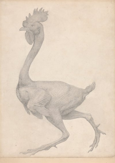Fowl, Lateral View with Most Feathers Removed (Finished Study for Table X) by George Stubbs