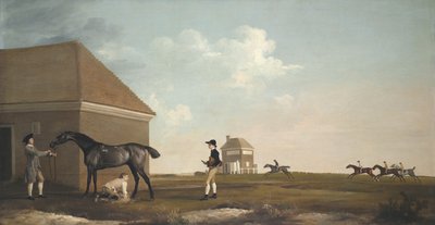 Gimcrack on Newmarket Heath, with a Trainer, a Stable-Lad, and a Jockey by George Stubbs