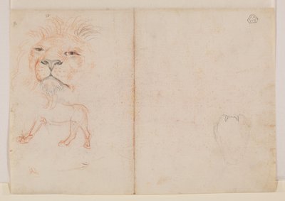 Head of a Lion, Verso by George Stubbs