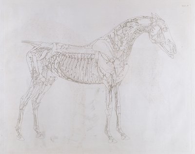 Illustration from 
