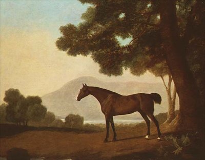 Johnny, a Bay Stallion in a Wooded Landscape by George Stubbs