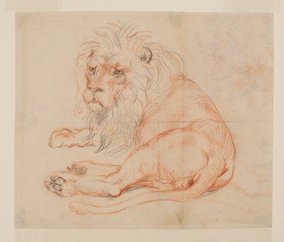 Lion resting, recto, 18th or 19th century by George Stubbs