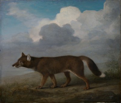 Portrait of a large dog (Dingo) by George Stubbs
