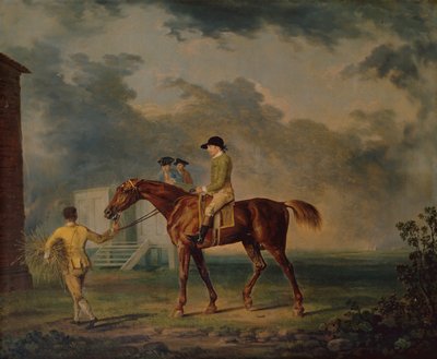 Sir Salomon, A Bay Racehorse with J.Singleton, Newmarket by George Stubbs