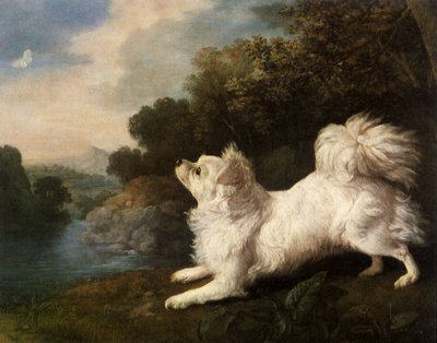 Spaniel belonging to painter Cosway chasing a butterfly, 1775 by George Stubbs