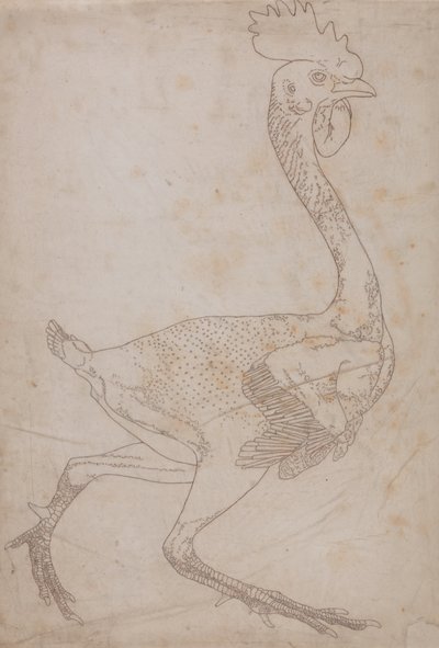 Study of a Fowl, Lateral View, from A Comparative Anatomical Exposition of the Structure of the Human Body with that of a Tiger and a Common Fowl, 1795-1806 by George Stubbs