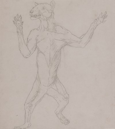 Study of a Tiger, Standing in Human Posture, from A Comparative Anatomical Exposition of the Structure of the Human Body with that of a Tiger and a Common Fowl by George Stubbs