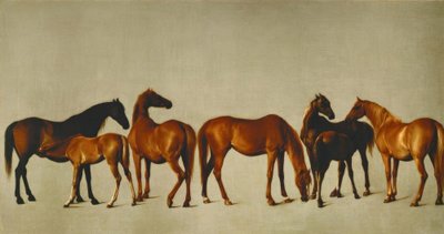 Mares with Foals by George Stubbs