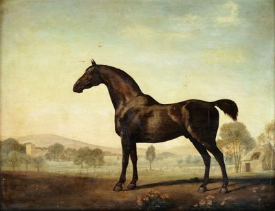 Sweetwilliam, a Bay Racehorse, in a Paddock by George Stubbs