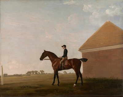 Turf, with Jockey up, at Newmarket by George Stubbs
