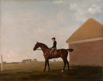 Turf, with Jockey up, at Newmarket by George Stubbs