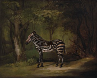 Zebra by George Stubbs