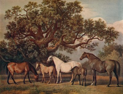 Brood Mares and Foals by George Townley Stubbs