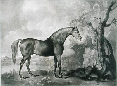 Brown Horse Mask, after George Stubbs by George Townley Stubbs