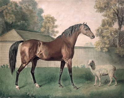 Dungannon by George Townley Stubbs