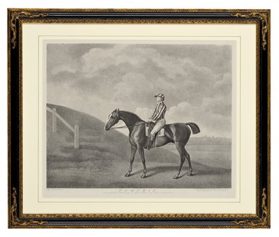 Pumpkin by George Townley Stubbs