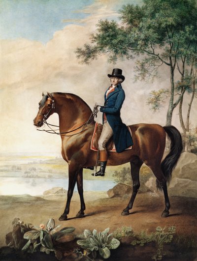 Warren Hastings Esq. on his Arabian Horse, after a painting by George Stubbs by George Townley Stubbs