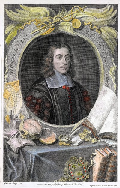 Portrait of English Physician Thomas Willis by George Vertue