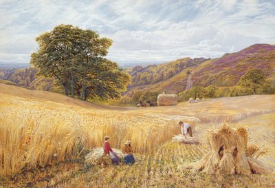 Harvest Time near Holmbury Hill, Surrey, 1865 by George Vicat Cole