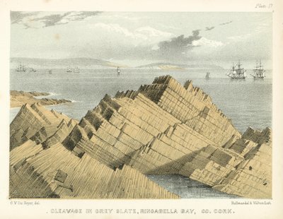 Cleavage in Grey Slate, Ringabella Bay, Co Cork by George Victor Du Noyer