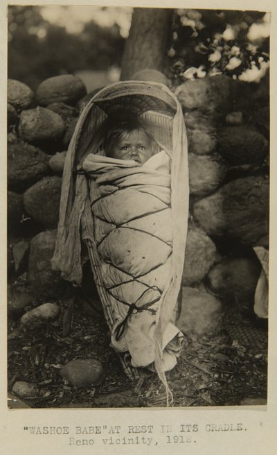 Washoe Babe at Rest in Its Cradle. Reno Vicinity by George W. Ingalls