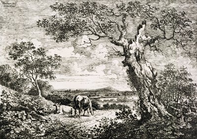 Two Cows in a Field by George Walker