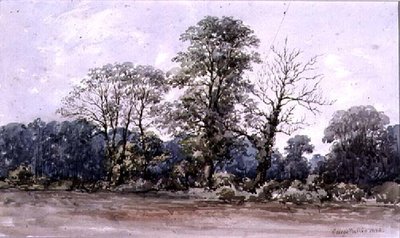 Trees at Perry Bar near Birmingham by George Augustus Wallis
