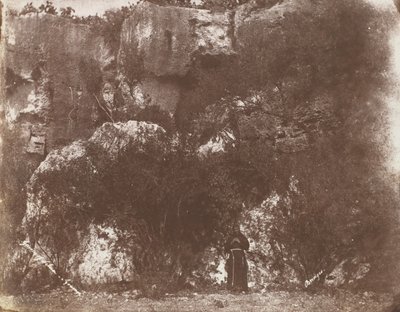 Garden of Selvia, Syracuse, Sicily by George Wilson Bridges
