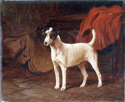 A Jack Russell Standing Poised in a Tack Room by George Wright