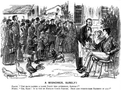 A Misnomer, Surely!, 1880 by George du Maurier