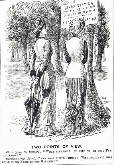 Cartoon Commenting on the Protection of Birds Act 1880 by George du Maurier
