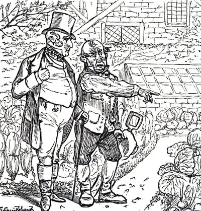 Cartoon depicting a gentleman with a gardener in the vegetable plot by George du Maurier
