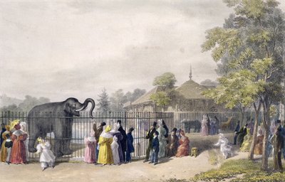 The Elephant House at the Zoological Gardens, Regent