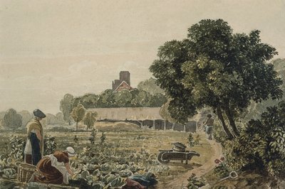 Market Garden at Chelsea by George the Younger Barret