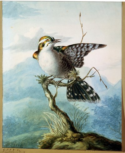 A Little Bird by Georgius Jacobus Johannes van Os