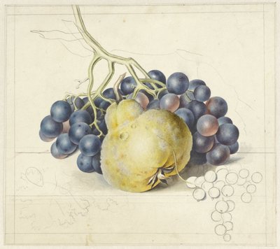 Still Life with Grapes and a Pear by Georgius Jacobus Johannes van Os