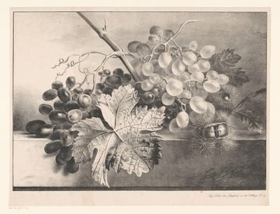 Still Life with Grapes and Chestnuts by Georgius Jacobus Johannes van Os